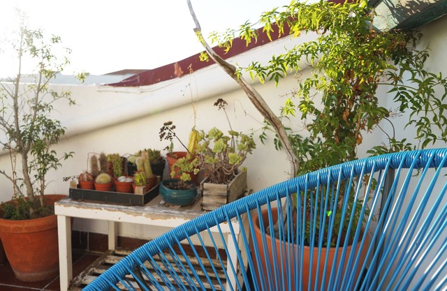 VIC Aveiro Arts House