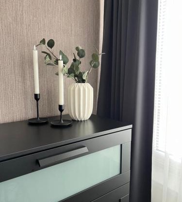 Vienibas apartment
