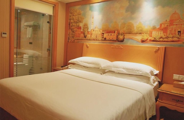 Vienna Hotel Shenzhen Nanshan Yilida