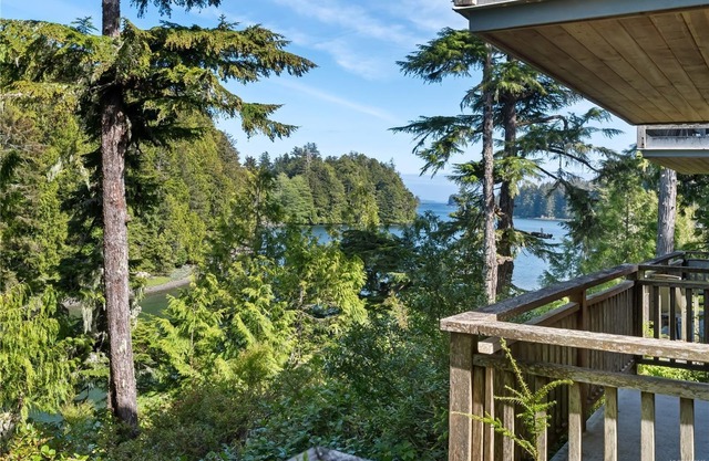 Views! Peaceful Cabin on Spring Cove Seas and Trees Cabin