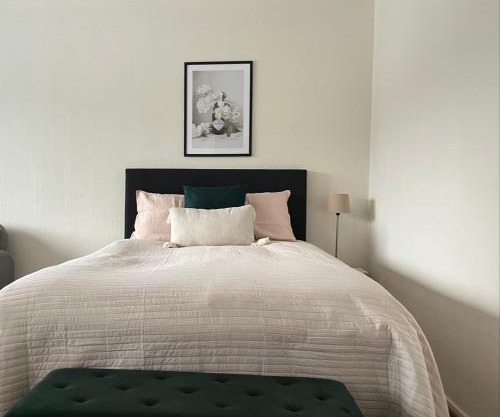 Viihtyisä ja valoisa yksiö keskustan läheisyydessä