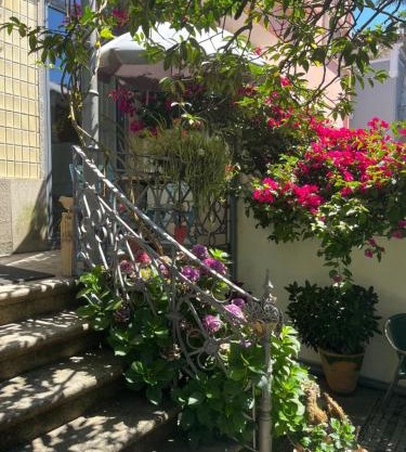 Vila Camélia