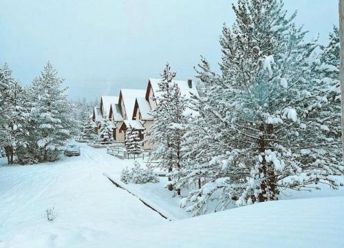 Vila Snjeguljica Blidinje 200 m od ski staze