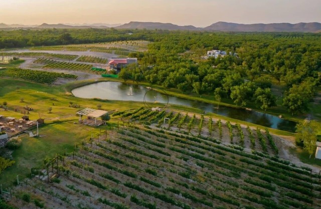 Parvada Winery Villa 4BR
