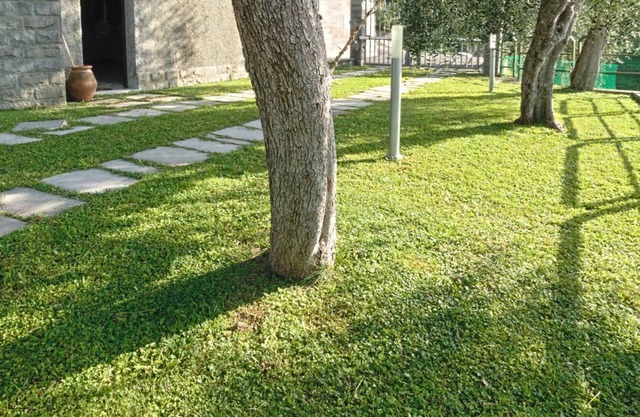 Villa zwischen den Olivenbäumen - schöner Panoramablick