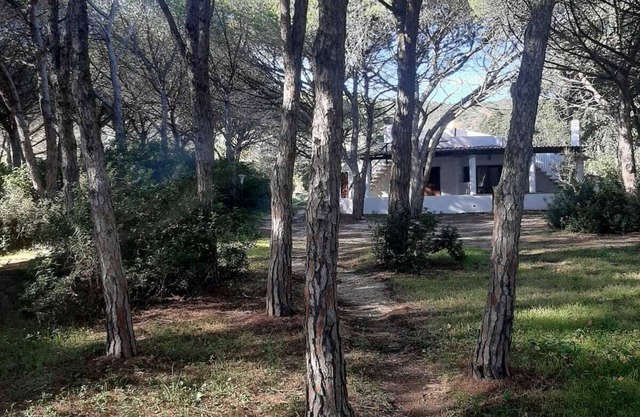 VILLA Among the Pines - Near the Sea, Matta and Peru, Budoni - Sassari