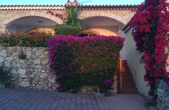Schöne Villa mit Meerblick Cannigione Costa Smeralda unabhängigen Garten