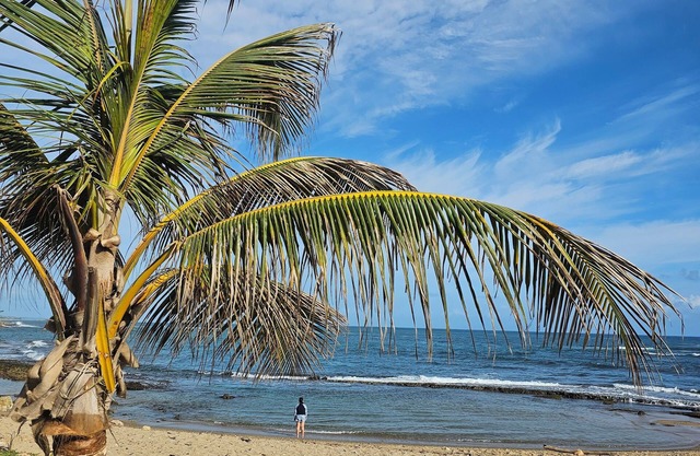 Villa Carmen: Large Beachfront Retreat with Park Access – Sleeps 14