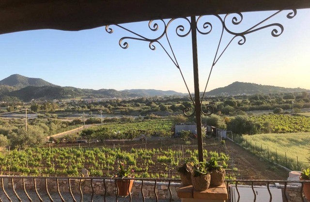 Villa 'Casa vacanze Perdupili' mit Bergblick und privatem Garten