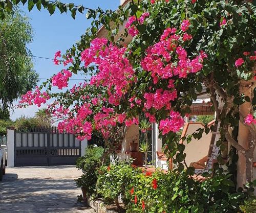 Villa Clarissa a San Lorenzo