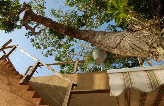 Villa Coral
