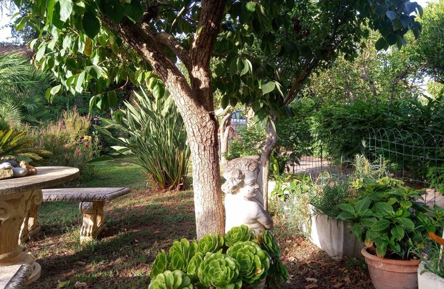 Villa Corrias