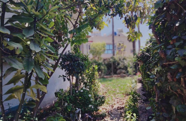 Villa de rêves à quelques mètres de la plage!