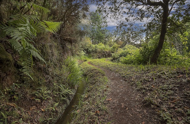 Villa Dennis - im sonnigen und warmen Südwesten der Insel Madeira