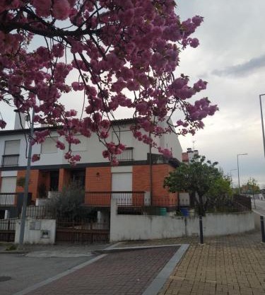 Villa Flaviae