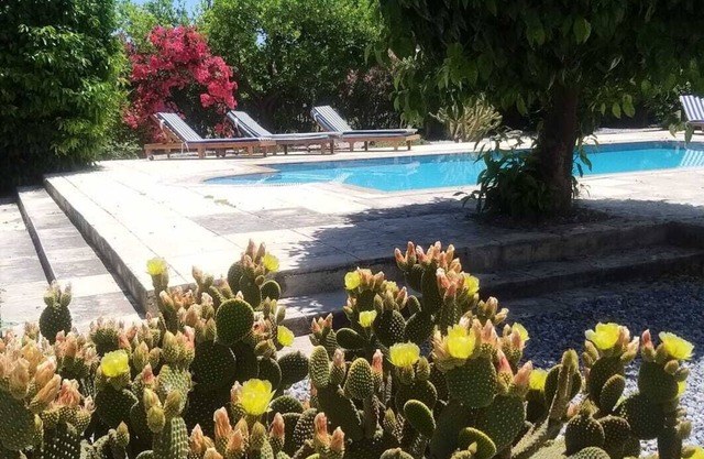 Villa Francesca Alexandra 5 minutes to the Turtle Beach