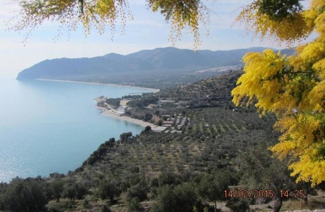 Villa Panorama