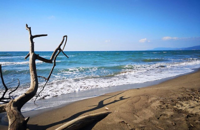 Villa Gelsomino, 150 meters from the sea, separate entrance, parking space, garden