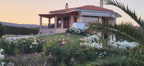 Villa Harry's