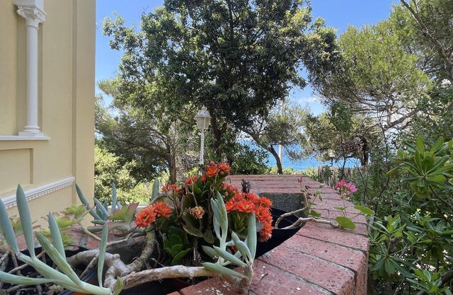 Villa Il Sorriso - Villa Il sorriso