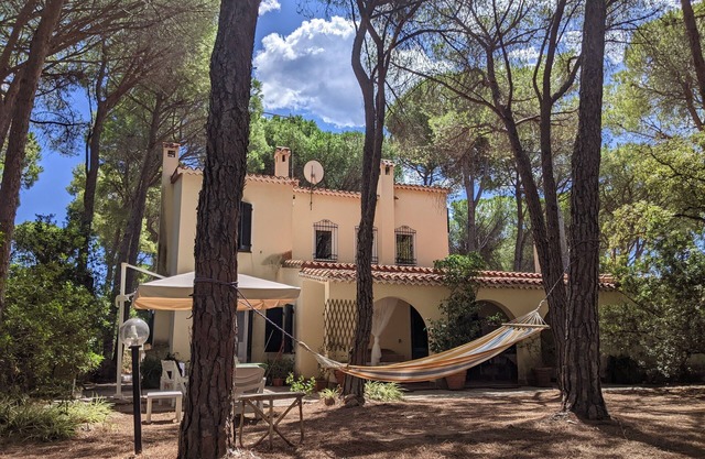 Villa in a pine forest with large private garden, 400 m from the beach.