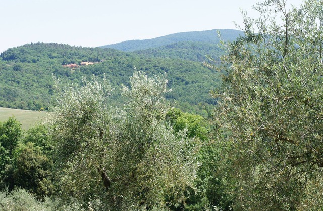 Villa im Wald und auf dem Land in der Nähe von San Gimignano