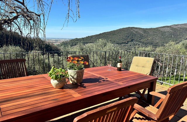 Villa in Tuscany with Pool and Olive Grove