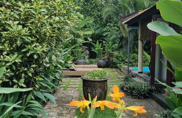 Villa Jati - Classy poolside villa, central Lovina