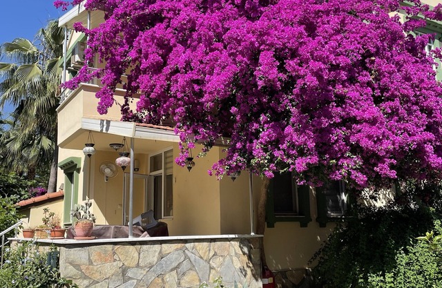VILLA KONAK CLUB GARDEN near the beach