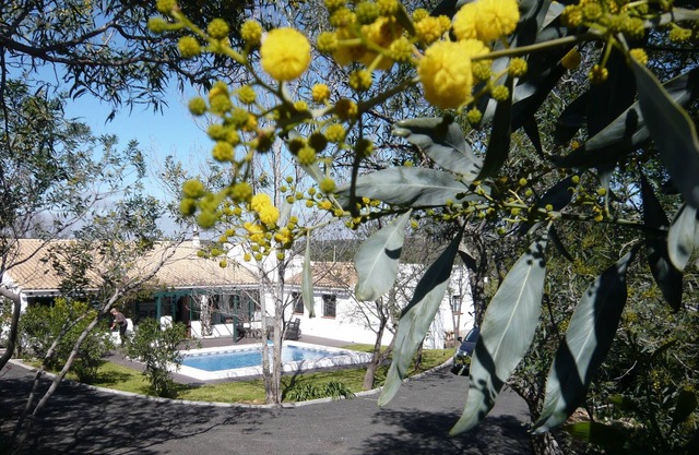 Villa in Algavre im Herzen eines typisch portugiesischen Dorfes