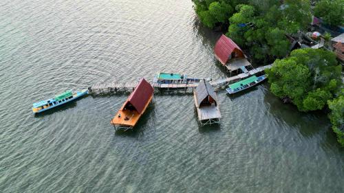 Villa Mangrove Pulau Pahawang