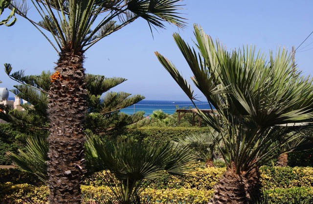 Villa Milena -Sicily