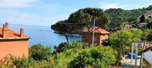 Villa Mimosa