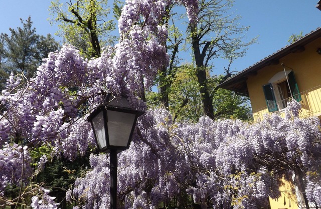 Villa Mirano B&B