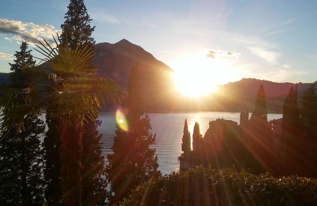 Villa Monti: apt. Pfingstrose