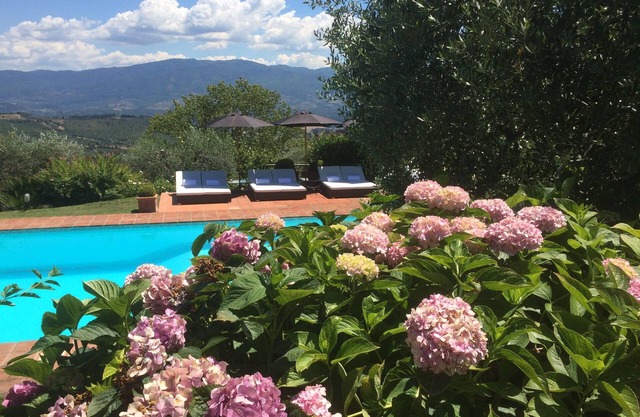 Villa Napoleone, near Florence - with pool