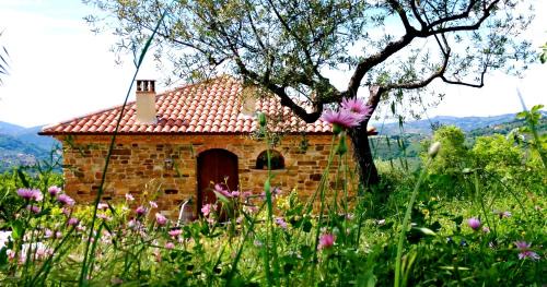 Villa Nigro