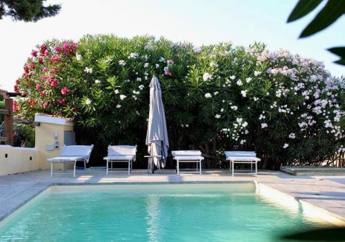 Villa Nina - Lussuosa Villa con piscina privata a Stintino