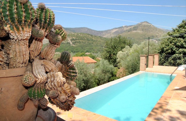 Villa Oasis Pool und Natur