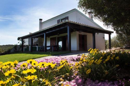 Villa Olga