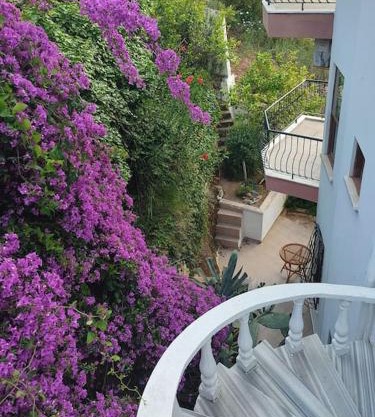 Villa on the Historic Castle Hill