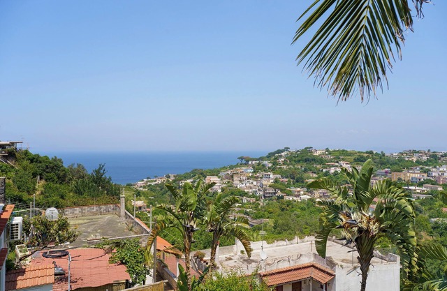 Villa 'Panorama Isola Di Ischia' mit Meerblick, Wi-Fi und Klimaanlage