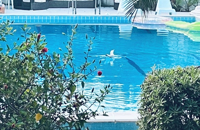 Villa Panoramica con Piscina