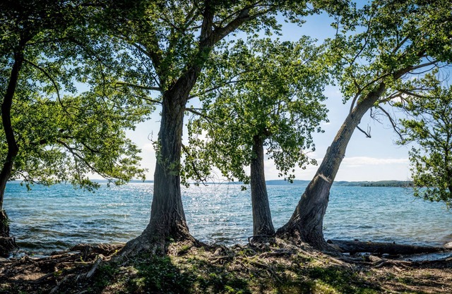 Villa pieds dans l'eau einzigartige Lage mit eigenem Strand am See in der Nähe von Roma