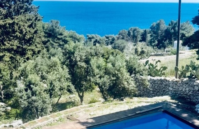 Villa Romanelli NEW, sea view, Mediterranean scrub - mini pool