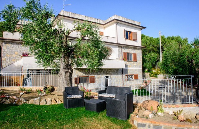 Villa Rosa Cilento umgeben von Olivenbäumen