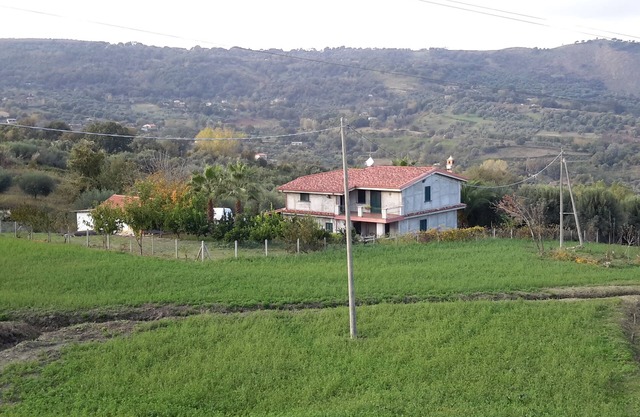 Villa Rosetta mitten in der Natur, umgeben von Palmen und Olivenbäumen