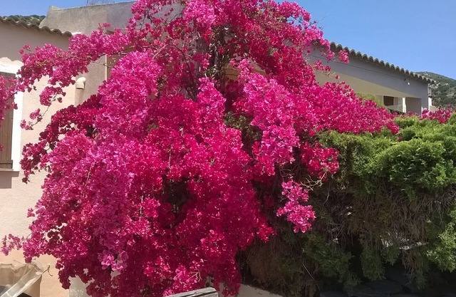 Villa Rosetta
