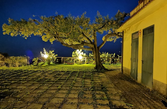 Villa "Der Garten von Rocco"