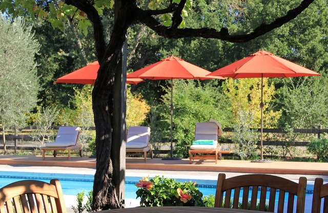 Villa Ticino - romantische und exklusive Weingut - Pool, Spa, Boccia, Ansichten